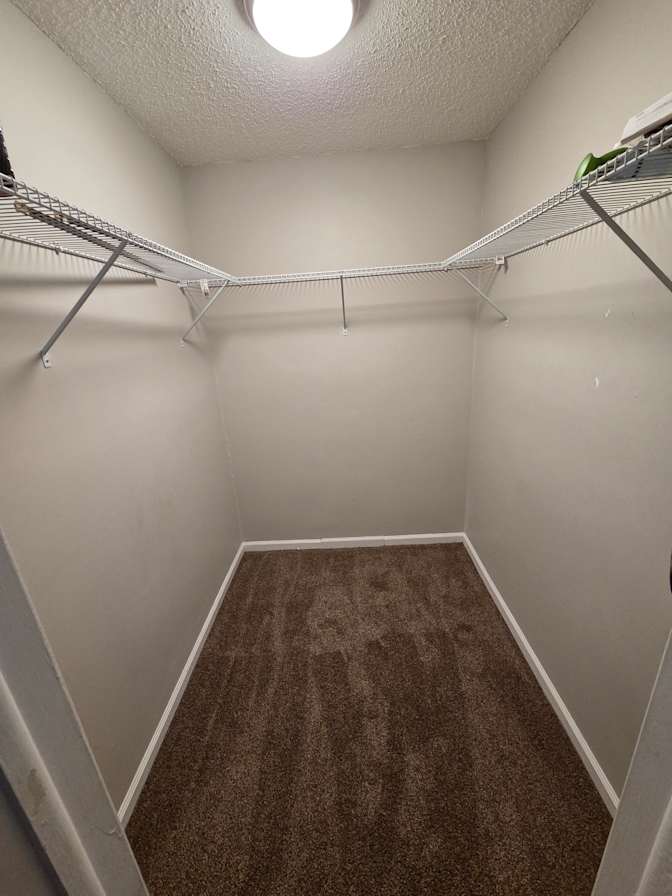Toni's room