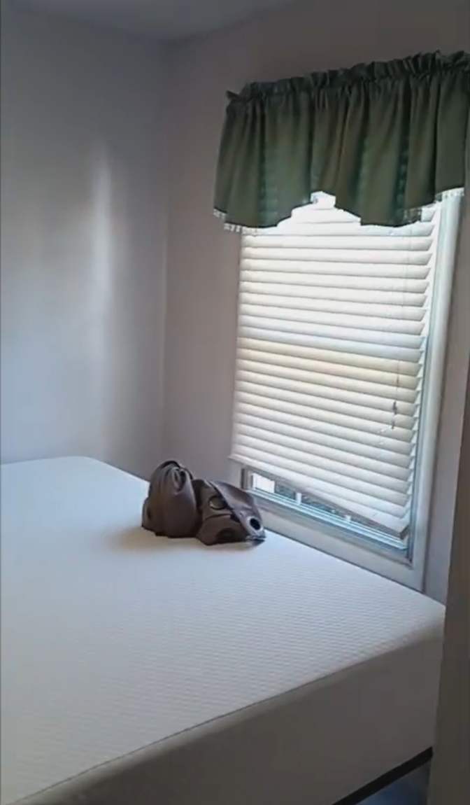 Maritza's room