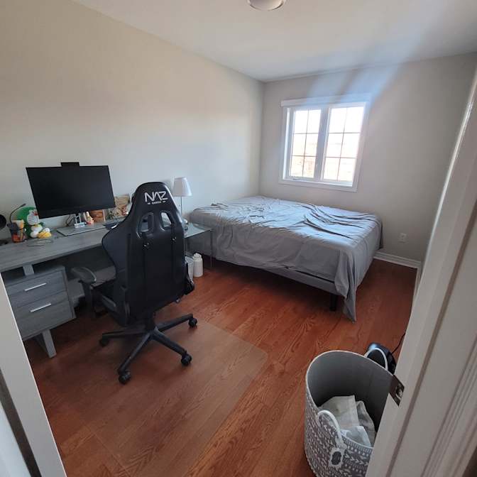 John Frantzis's room