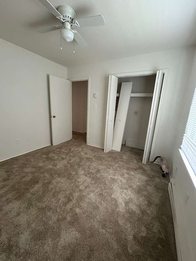 Marzia Hossain's room