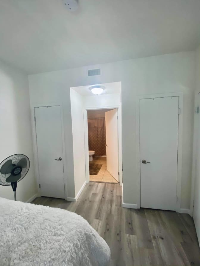 Solly's room