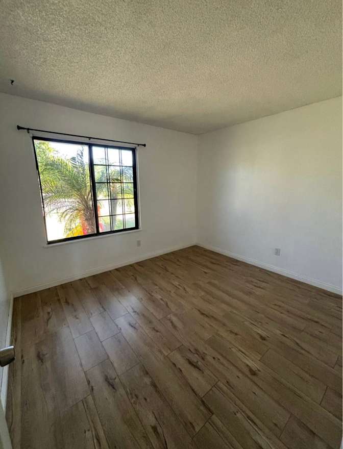 Evelyn's room