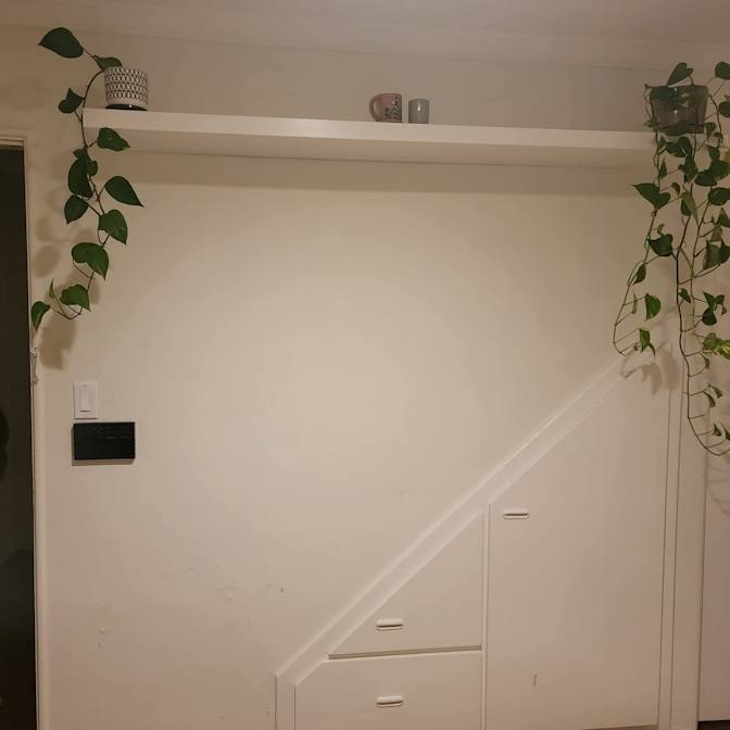 Caitlin's room