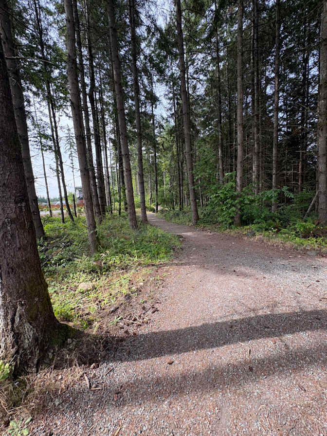 Sarah Logan's room