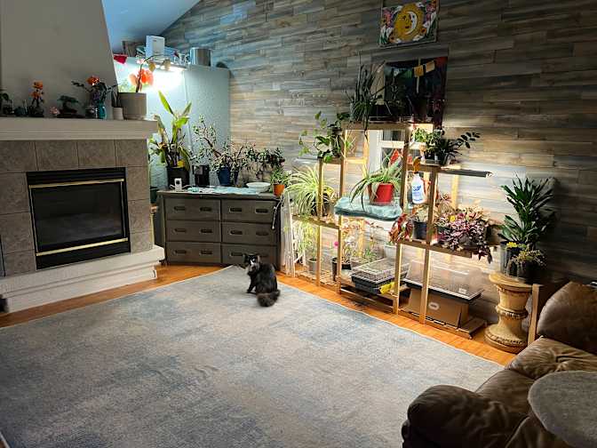 Tiffany's room