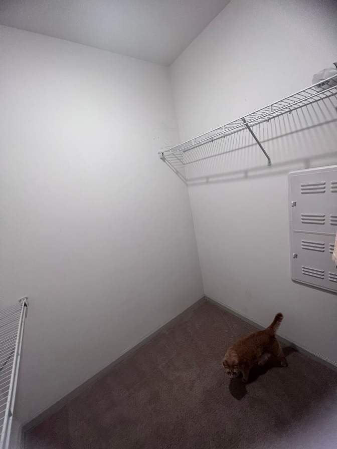 Hannah's room