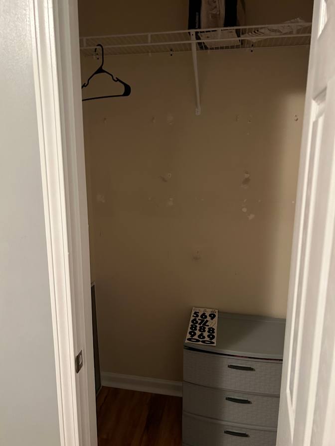 Staci's room
