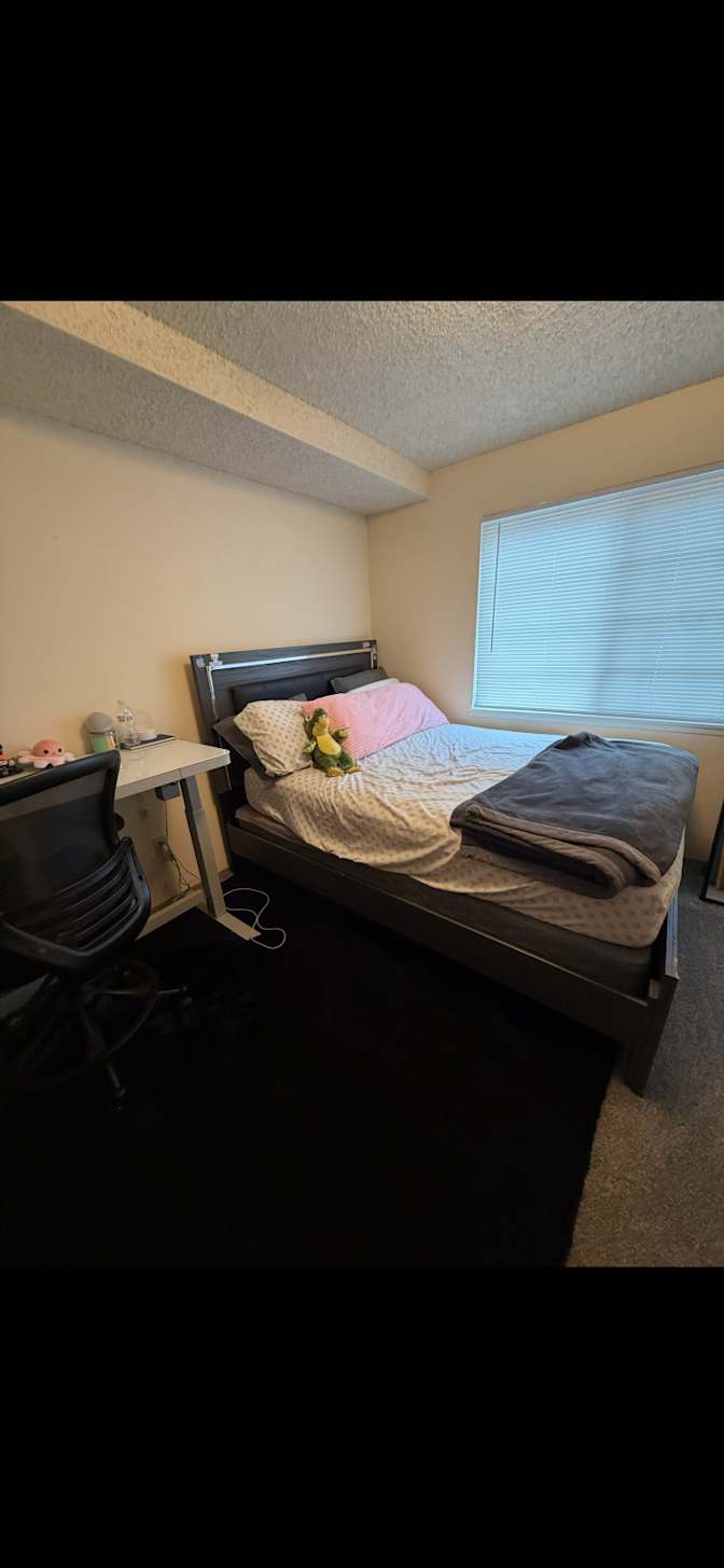 Andrea's room