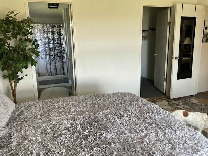 Treena Lynch's room