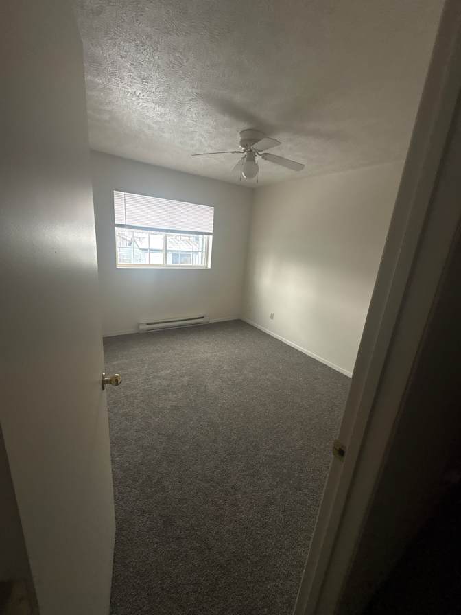 Charlotte Puleo's room