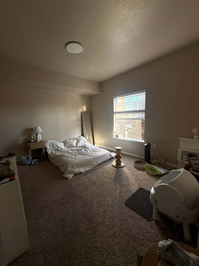 Tahlia's room