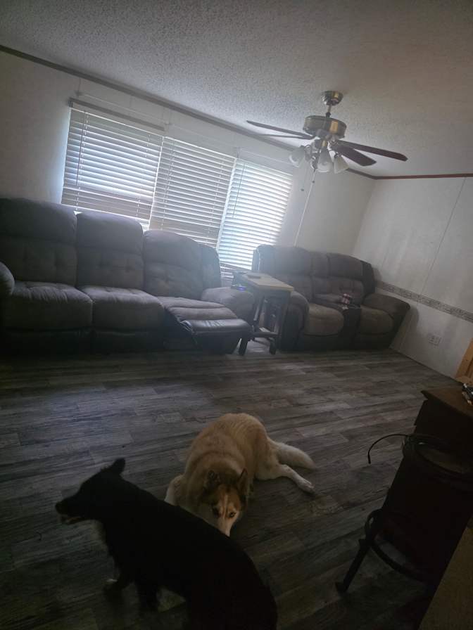 Allan's room