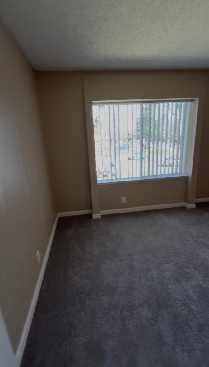 Jasmin's room