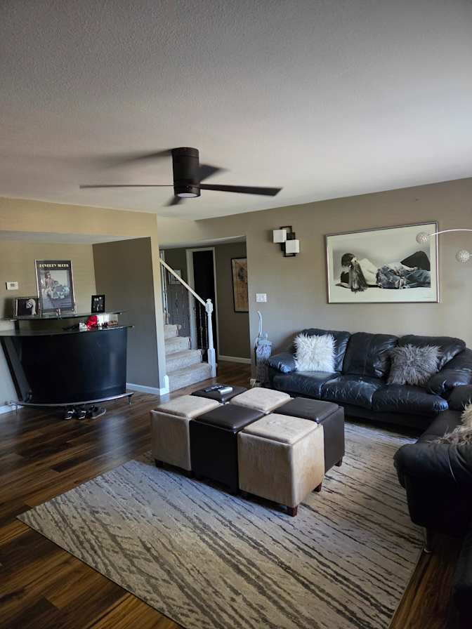 Michael Damiani's room