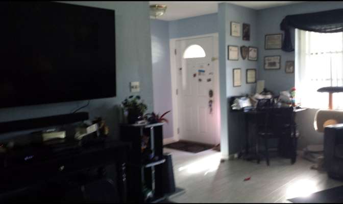 Donna M Cohn's room