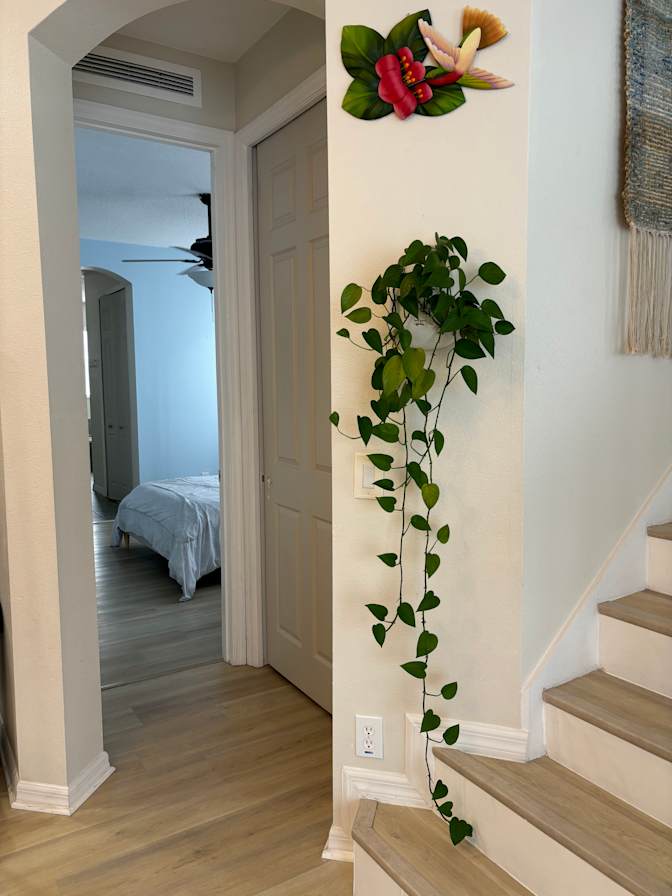 Andrea's room