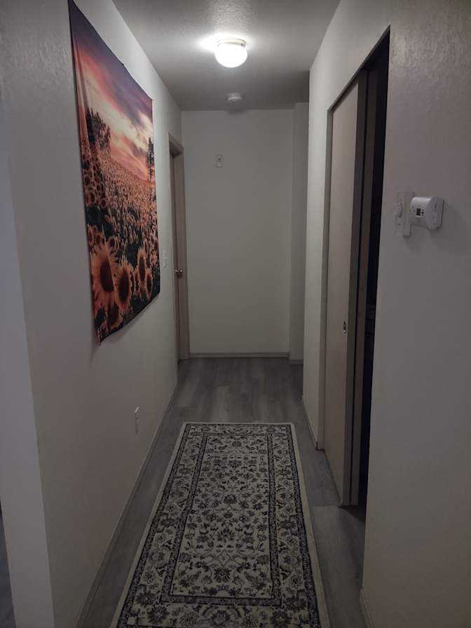 Sophia Peterson's room