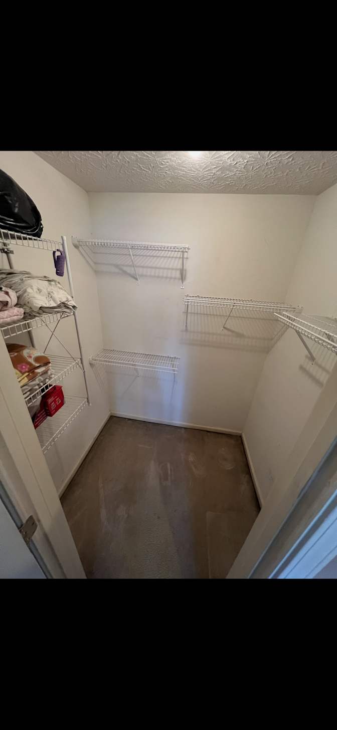 Cat mom's room