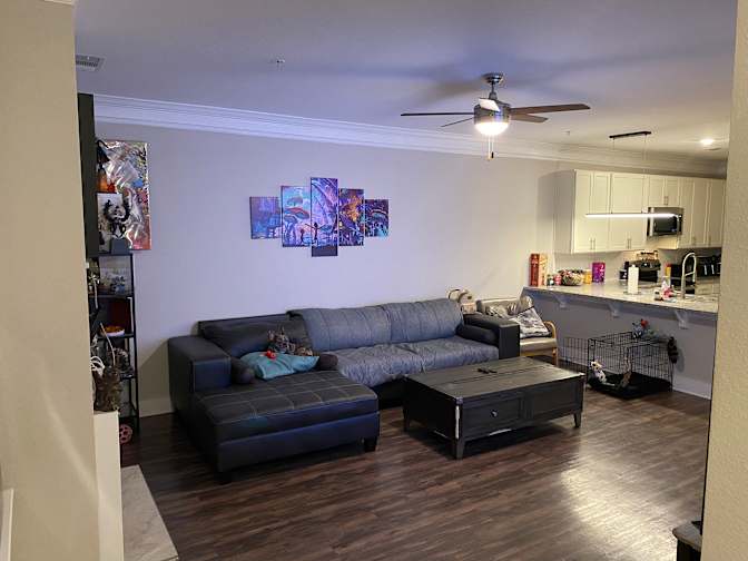 Emin Abdullayev's room