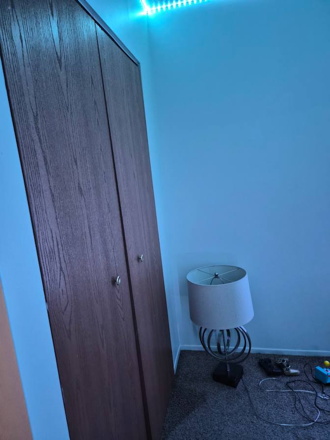 Sophia's room