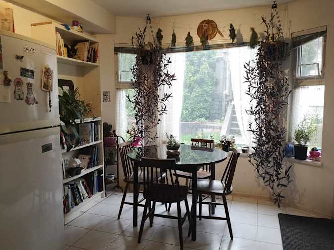 Meg's room