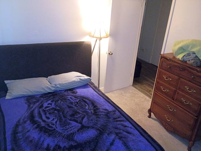 Tabitha's room