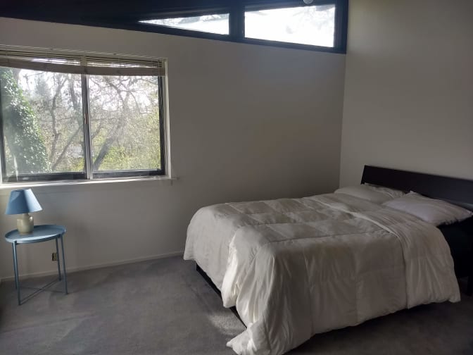 Lauren's room
