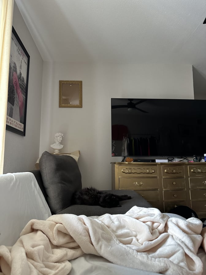 Alexa's room