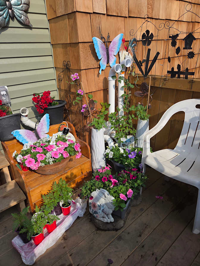 Jacquie Mecham's room
