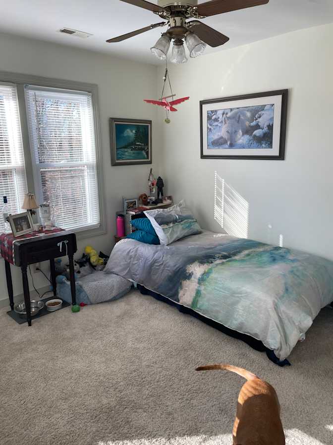 Rose's room
