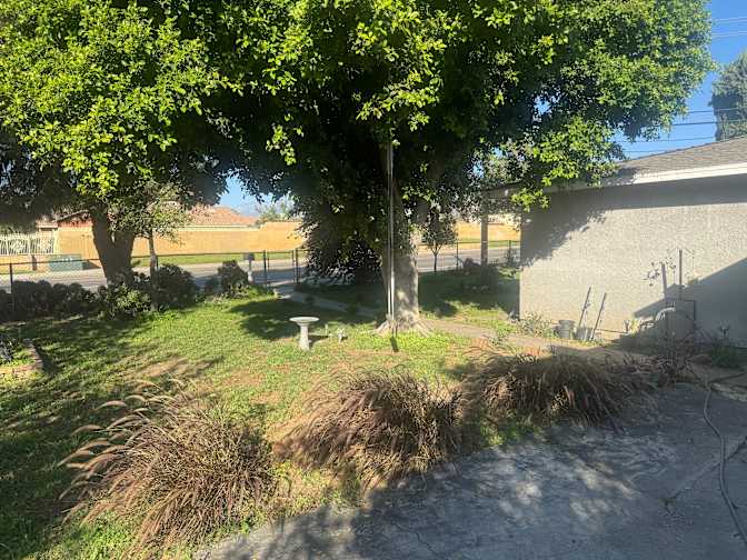 Brandon's room