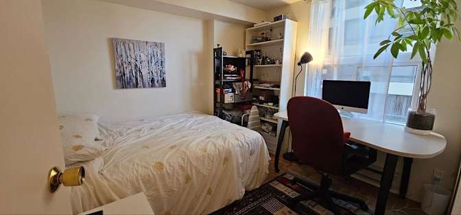 Elahe's room