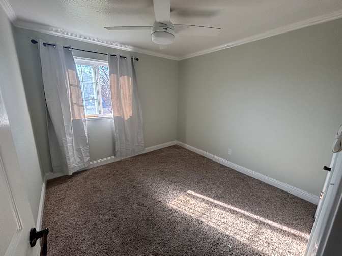 Kirstina Sang's room