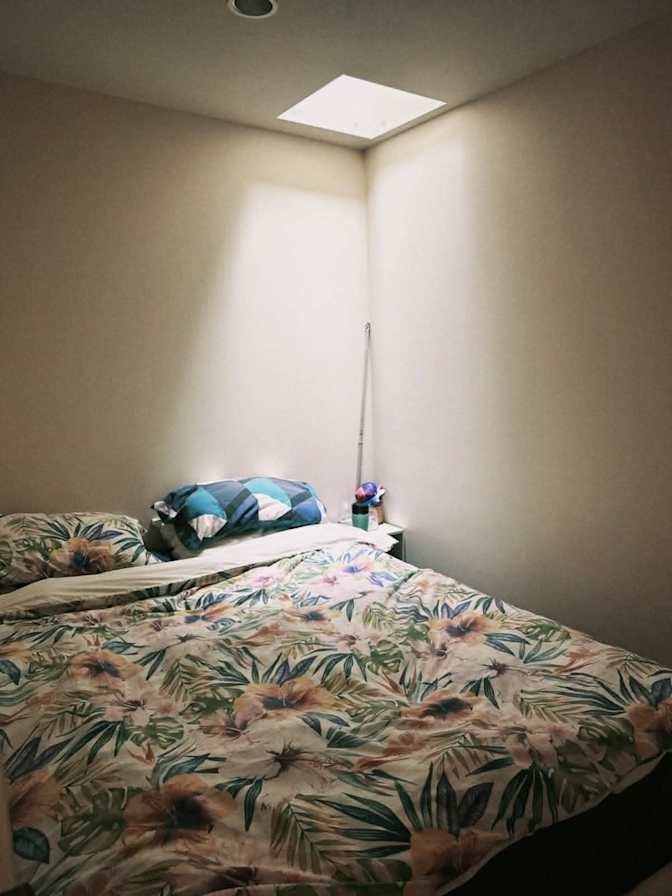 Alisha's room
