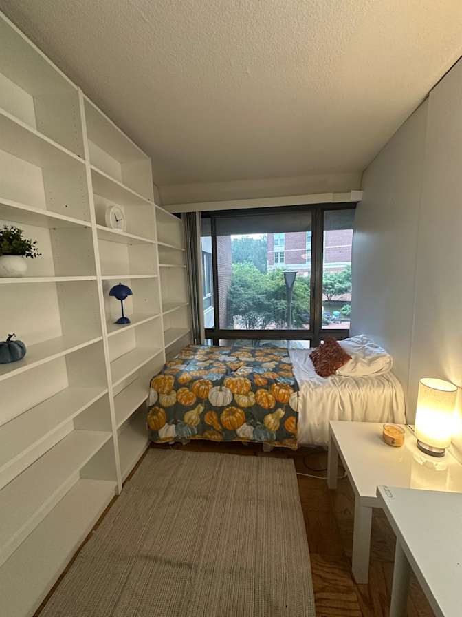 Matt Nolan's room