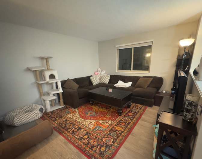 Shannon's room