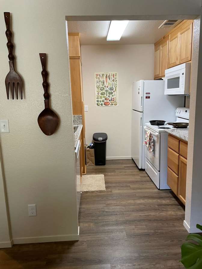 Shannon's room