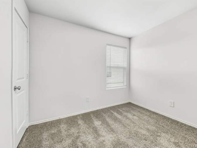 Shawn's room