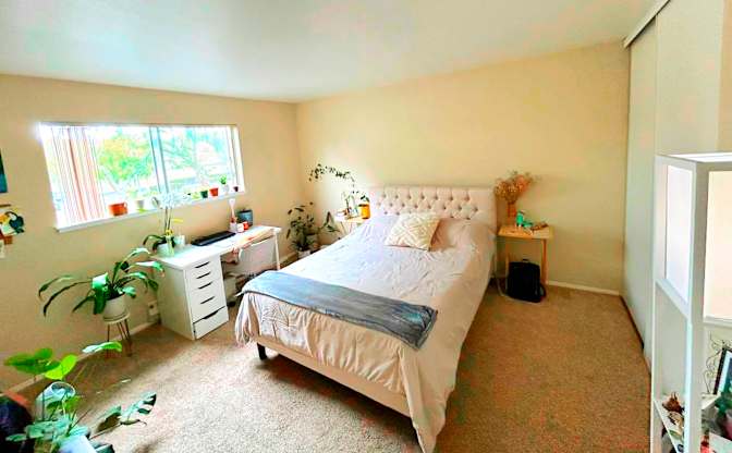 Mica's room