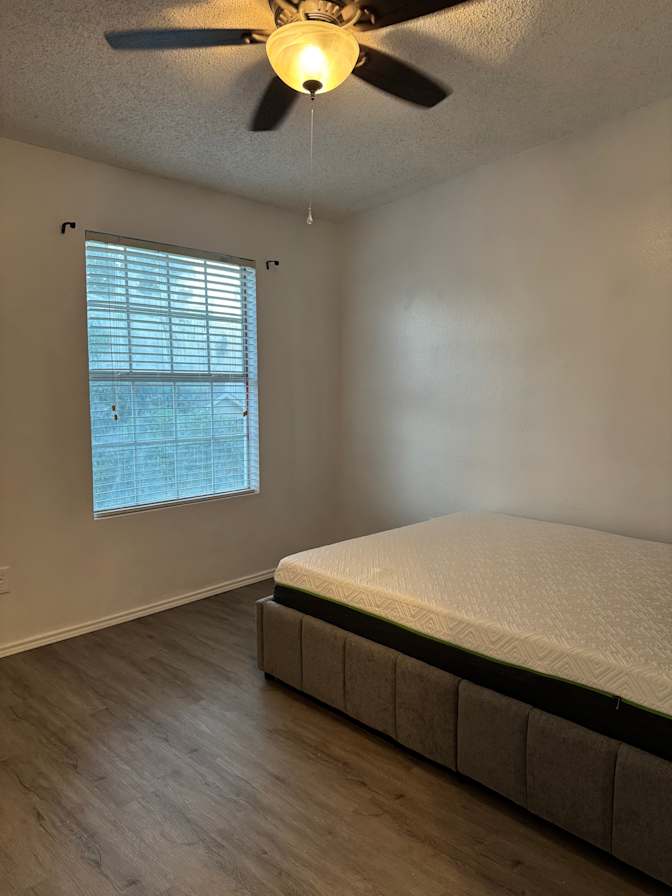 Phi's room