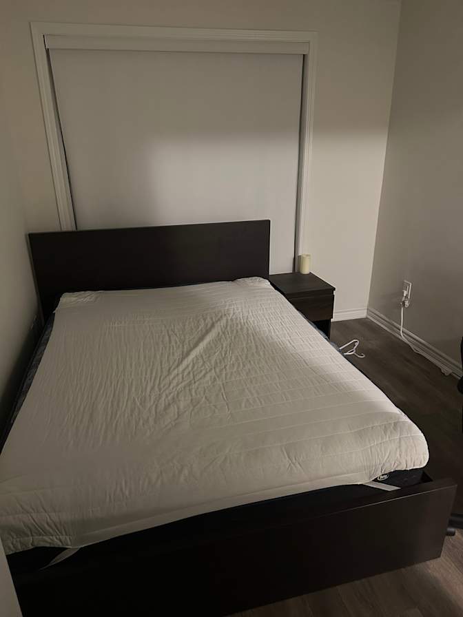 Lev's room