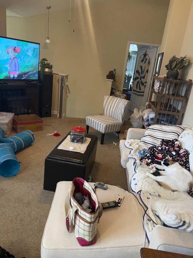 Lorelei's room
