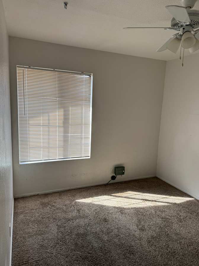 Brenda's room