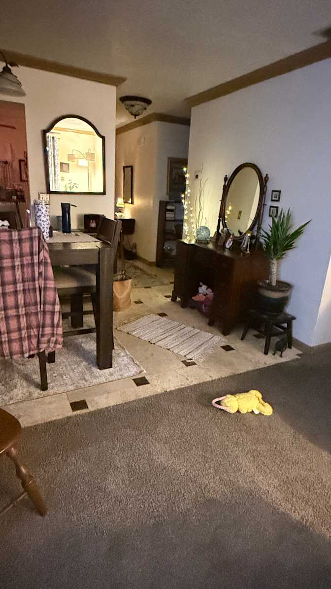 Jayne's room