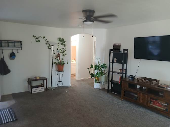 Mitchell's room