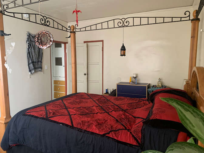 Daveed's room