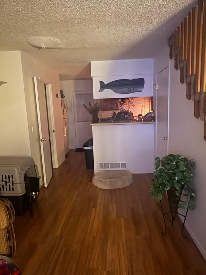 Karlie's room