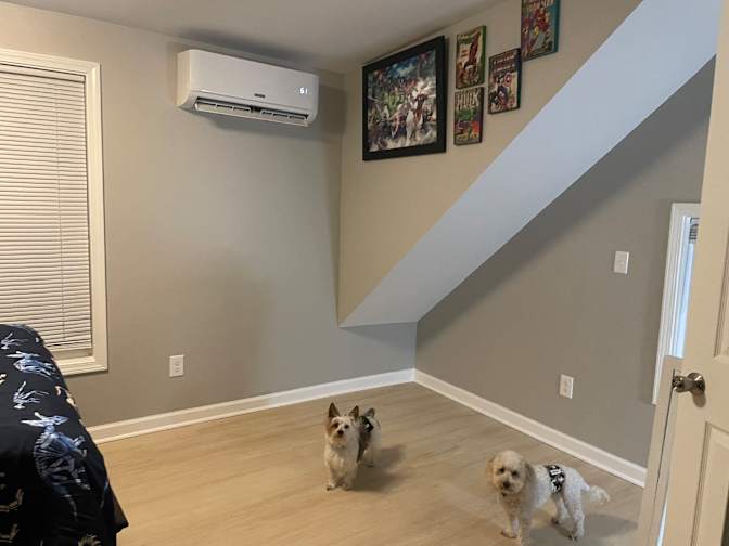 Anita's room