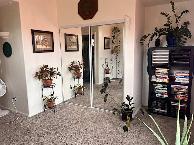 Andréa's room