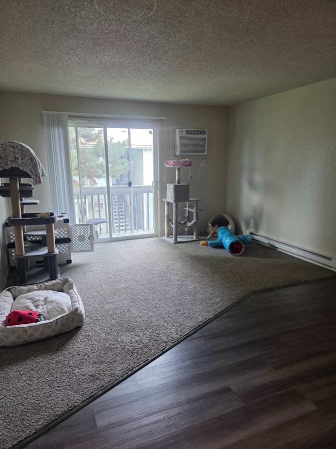 Angel's room